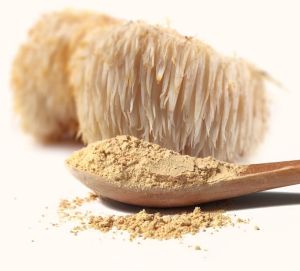 Lion’s Mane Mushroom Powder
