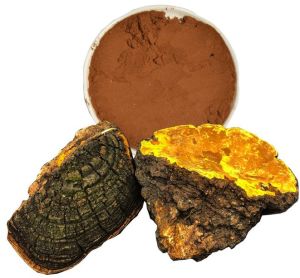 Mesima Mushroom Powder