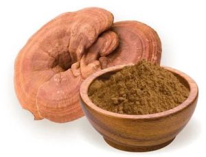 Reishi Mushroom Powder