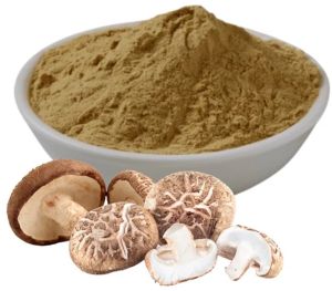 Shiitake Mushroom Powder