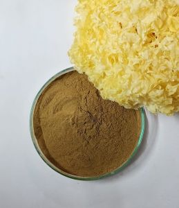 Tremella Mushroom Powder