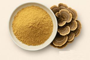 Turkey Tail Mushroom Powder