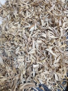 sandalwood chips