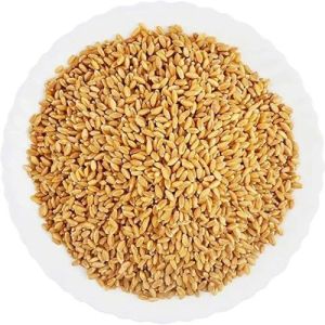 Milling Wheat Seeds
