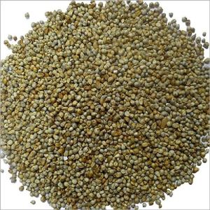 Natural Bajra Seeds