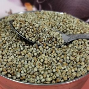 Organic Bajra Seeds