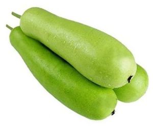 Fresh Bottle Gourd