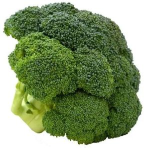 Fresh Broccoli
