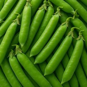 Fresh Green Peas