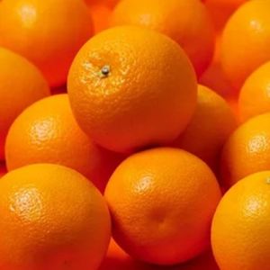 Fresh Orange
