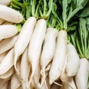 Fresh Radish