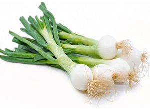 Fresh Spring Onion