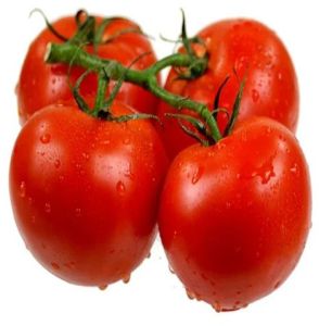 Fresh Tomato
