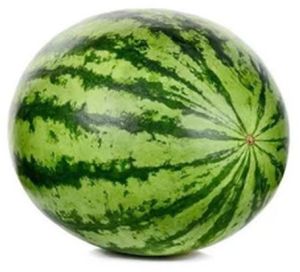 Fresh Watermelon