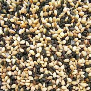 Sesame Seeds