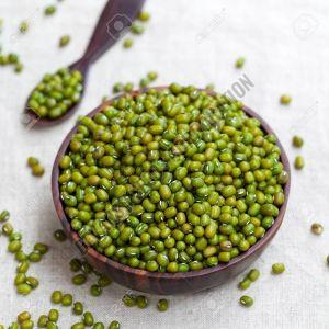 IPM 02-3 Moong Dal Seed