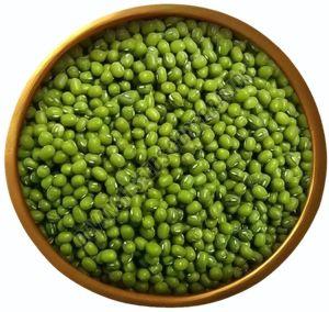 IPM-205-7 Virat Moong Seed