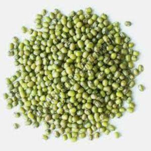 Ipm 410-3 Shikha Moong Seed