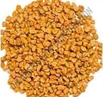 Fenugreek Seed