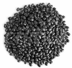 Kota-4 Urad Seeds