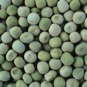 M7 Green Pea Seed