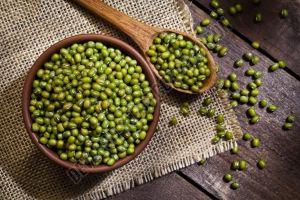 MH-1142 Moong Seed