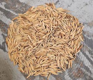 PB- 1718 Paddy Seed