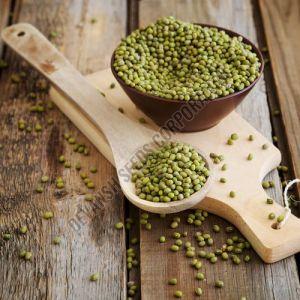 PDM-139 Moong Dal Seed