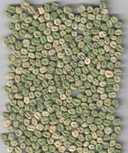 PSM 5 Natural Green Pea Seed