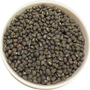 Shekhar 2 Urad Seed