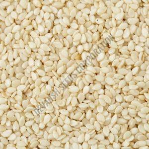 White Sesame Seeds