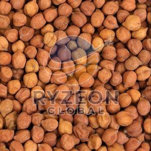 Desi Chickpeas