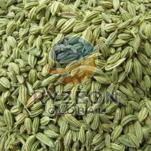 Fennel Seeds