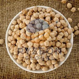 Kabuli Chickpeas
