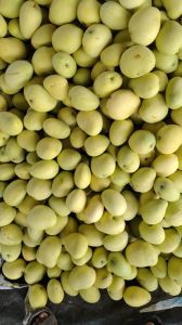 A Grade Banganapalli Mango