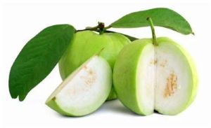 A Grade Fresh Guava