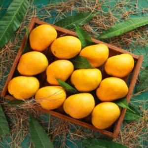 Fresh Banganapalli Mango