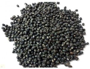 Black Urad Dal Black Urad Dal