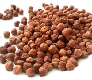Brown Chickpeas Brown Chickpeas