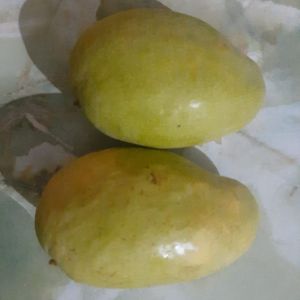Fresh Bernisha Mango Fresh Bernisha Mango