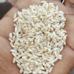 Garudan Samba Rice Garudan Samba Rice