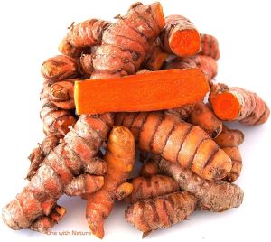 Raw Tumeric Finger Raw Tumeric Finger