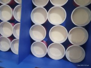 Mahima Sweet Curd
