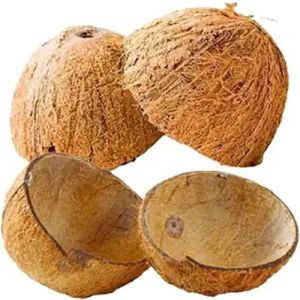 Brown Coconut Shell