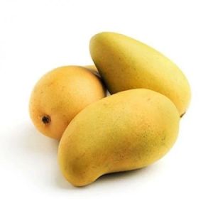 Gir Kesar Mango