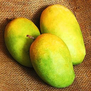 Fresh Kesar Mango