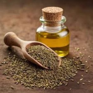 Organic Ajwain Essential Oil