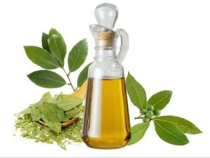 Bay Leaf Essential Oil