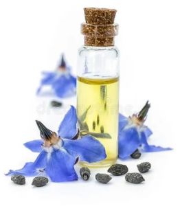 Borage Essential Oil