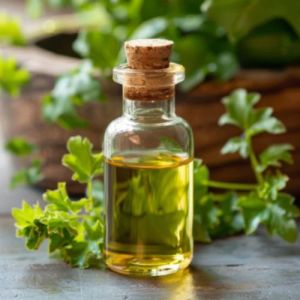Citronella Essential Oil